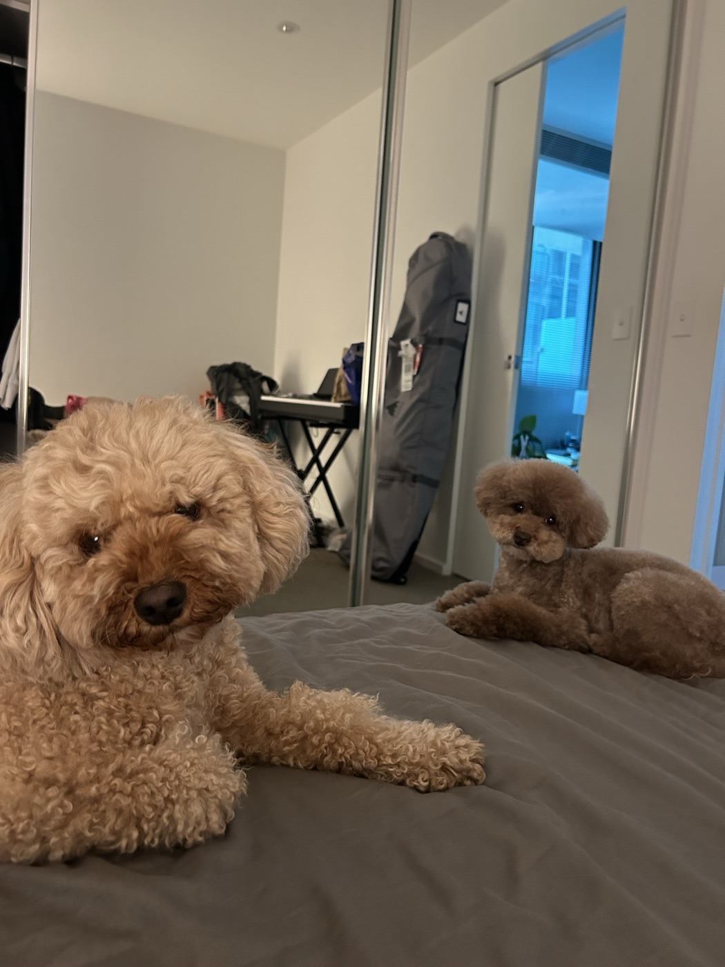 Top Knot groom